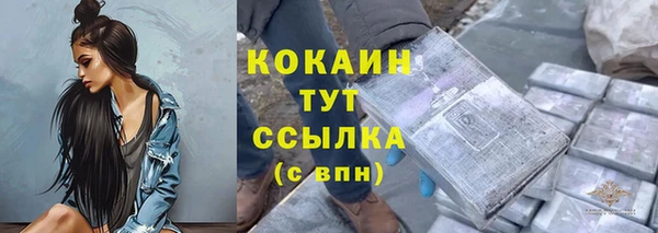 ECSTASY Пересвет