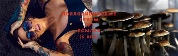 марки lsd Осинники
