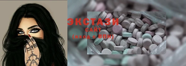 ECSTASY Пересвет