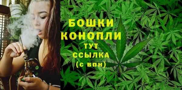 кокс Осташков