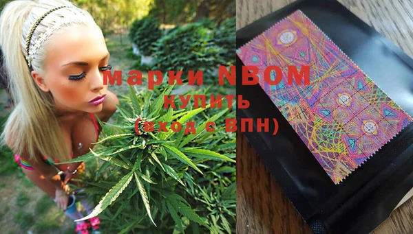 PSILOCYBIN Вязьма