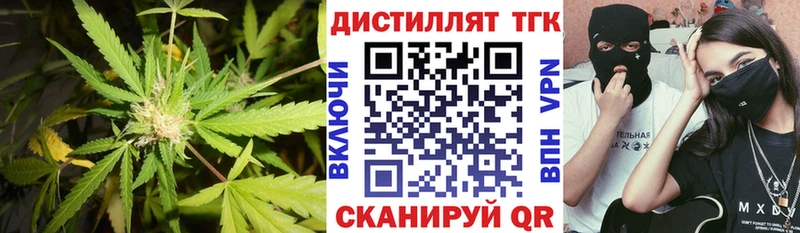 ТГК Wax  как найти   Клинцы 