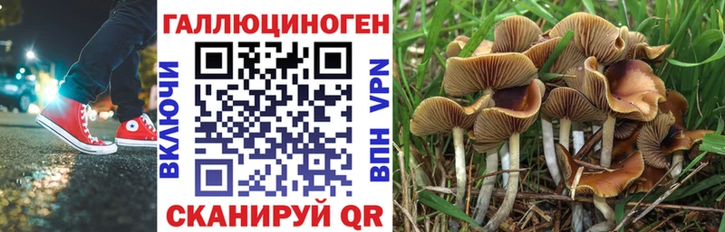 Псилоцибиновые грибы GOLDEN TEACHER  купить наркотик  Клинцы 